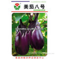 Cold Resistance Round Black Purple Eggplant Seeds-Beauty Eggplant No.8